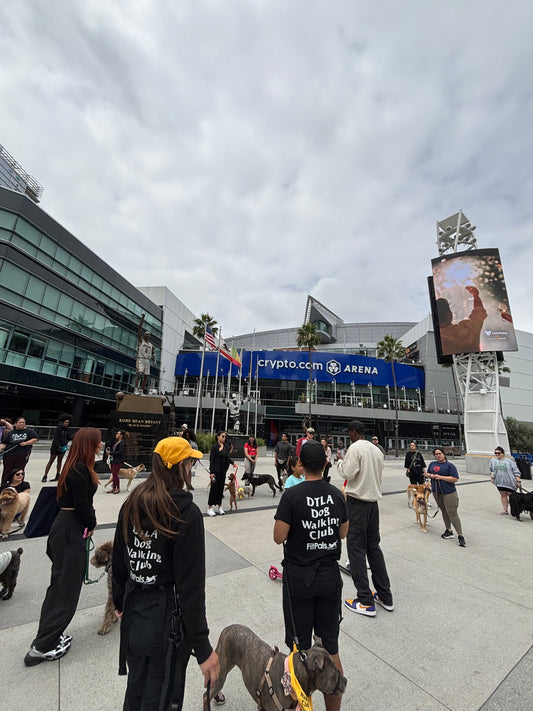 DTLA Dog Walking Club Tee – 100% Cotton