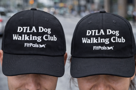 DTLA Dog Walking Club Hat