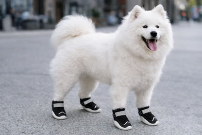 Fitpals Athletics Dog Shoes