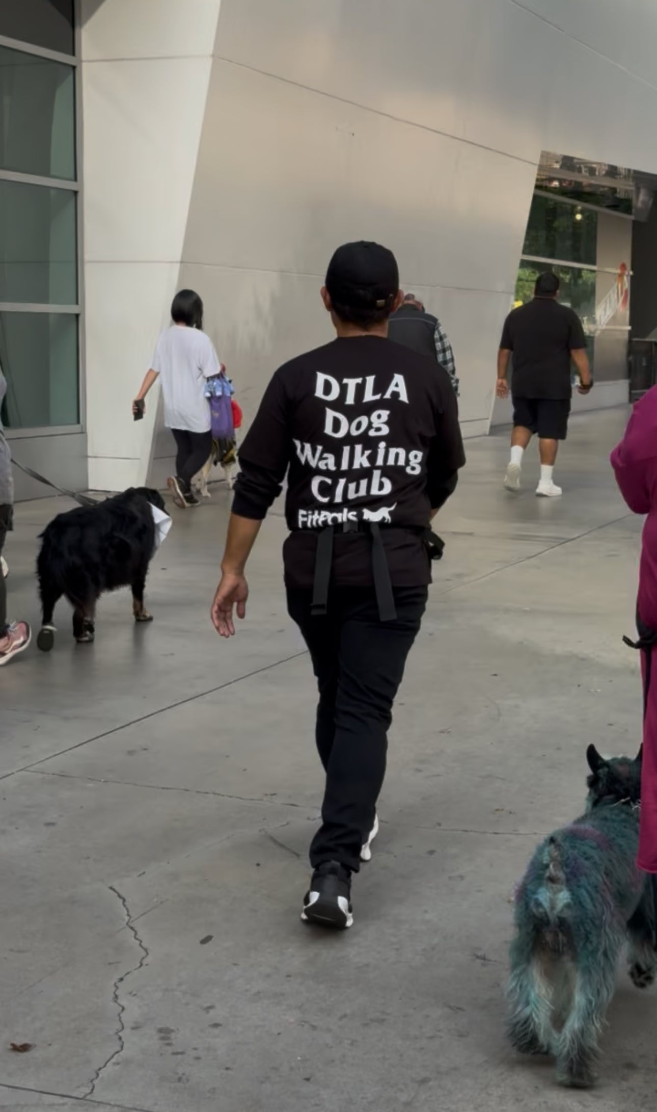 DTLA Dog Walking Club Tee – 100% Cotton