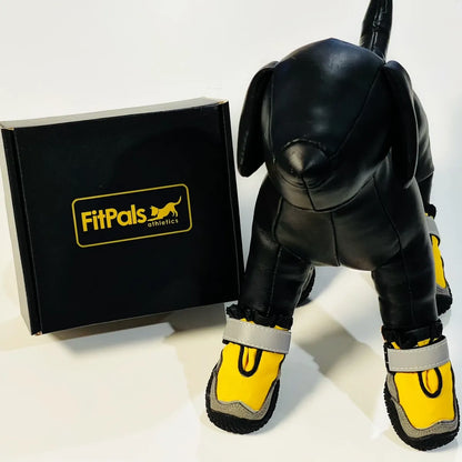 Fitpals Athletics Dog Shoes (DTLA Dog Walking Club Edition)