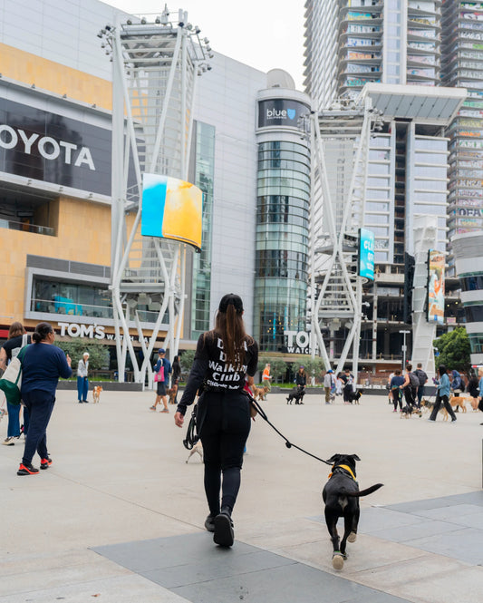 DTLA Dog Walking Club Tee – 100% Cotton